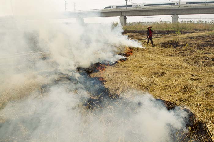 2013年11月06日，浙江省某地村民焚烧秸秆，烟雾缭绕。***_***